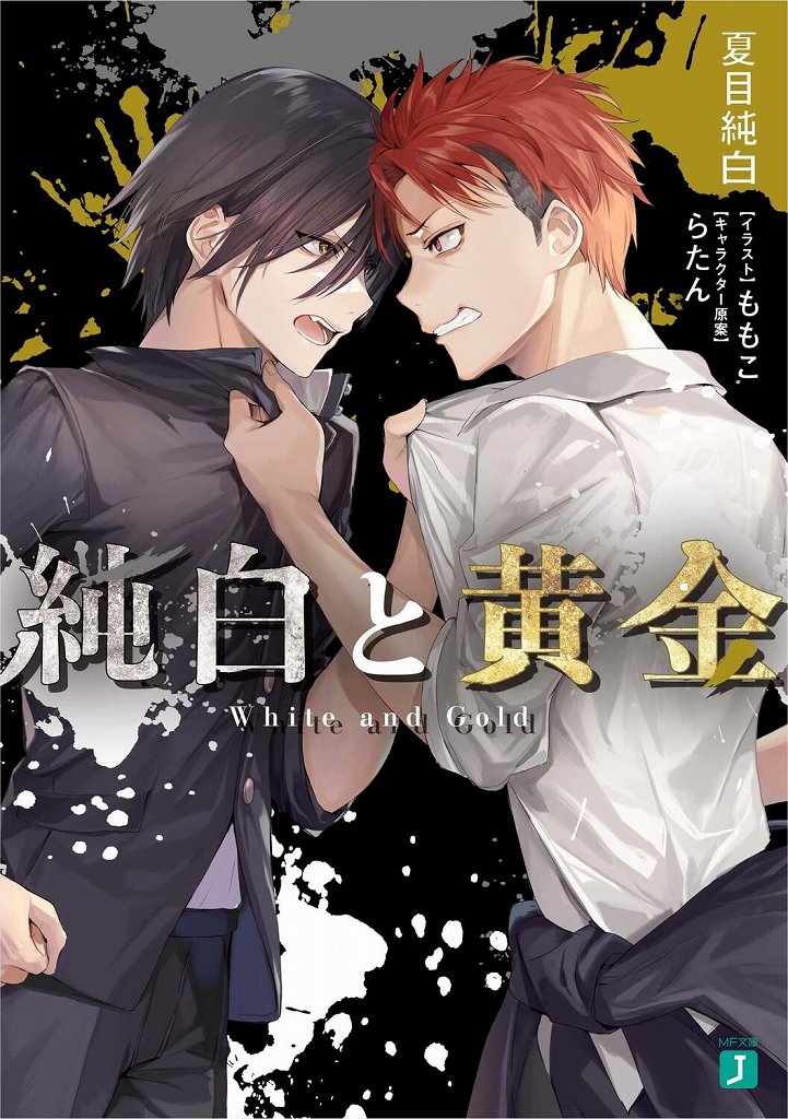 Cover Image of the Post